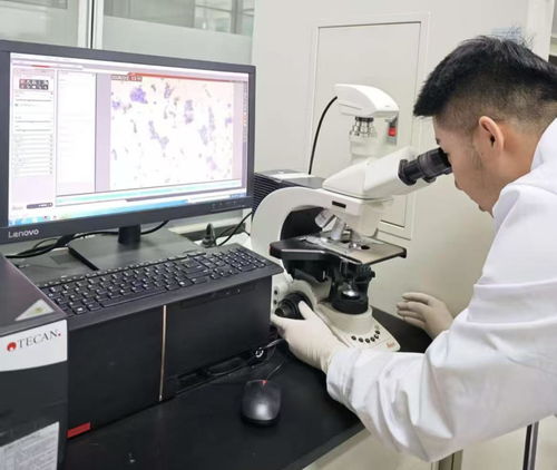 38.97億刷新紀錄！呼和浩特科創成果轉化跑出“首府速度”